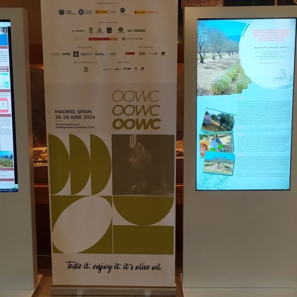 fot-totem-tactil-50-congreso csic-visualpanel-1big